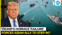 Trump's Hormuz 'failure' forces Asian ally to step in? | South Korea, Iran, USA, war, Gulf, NATO