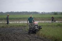 In food crises, emergency agricultural assistance can help turn the tide