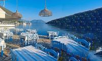 TOM PARKER BOWLES finds zingy raw seafood on a little-known Greek island