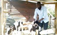 Extension services now just a tap away for Nandi farmers