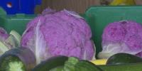 Copper Country farmers invite all to visit during annual Keweenaw Farm Tour