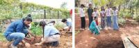 Planting seeds of sustainability