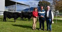 Return customers bolster bull sale as The Glen Angus looks to a change of pace