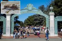 Urgent warning as rabid bat cases surge in elite California college town