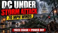 Washington DC Storm: 70 MPH Winds Tear Through Capital, Trees Crash Into Cars | US News