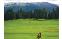 2 years on, Kupwara’s Bangus Valley stays shut, tourism economy suffers
