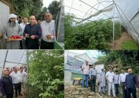 DC Kishtwar inaugurates Hi-Tech Polyhouse established under HADP