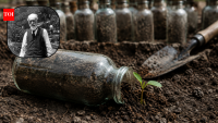 Michigan scientist buried seeds in 1879; some still grew 142 years later in an experiment lasting to 2100