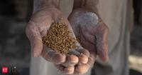 Asian buyers turn to Australian, Argentine wheat amid Black Sea disruptions
