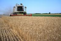 Number of Farms Declines Sharply