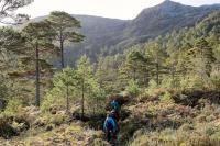 Scotland's hill-goers urged to plan ahead as key deer stalking period approaches