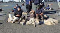 Romanian Farmers Plan National Protest in Bucharest September 15