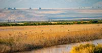 Op-ed: Wildlife refuge deserves another look