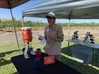 Wine Minute: Bunch Rot Research