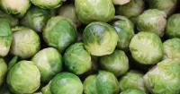 Fears there may be no Brussels sprouts for Christmas this year