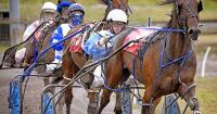 Money Talks doubles as Blue Guns and Roses win Grade A at Amman Valley