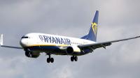 Grimsby man leaps into action during medical emergency on Ryanair flight to Tenerife
