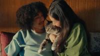 These cute cat ads don't seem to make sense – which is why they're genius