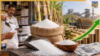 Sugar Prices Today September 5: Wholesale rates fall, consumers still feel the pinch; Check latest sugar prices in Delhi, Mumbai and other cities