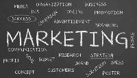 Understanding peer influence in marketing