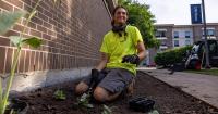 Student’s sustainable ideas take root through plantings on campus