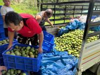 BAIL provides market, helps farmers cut post-harvest losses and boost income