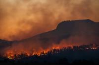 Climate disasters mount, but lessons remain unlearnt