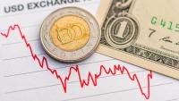 Who Benefits from a Strong Forint?