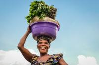 Cash Transfers and Extreme Poverty in the DRC