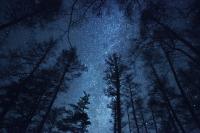 Stargazing In Paraguay: The Best Places To Observe The Night Sky Near Asunción