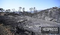 Algeria faces rights concerns over call to enforce death penalty for arsonists