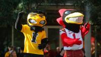 This Iowa TV market ranks among the top for college football fans