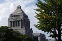 Government may fully cover local losses from consumption tax cut