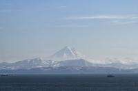 "You can earn over 10,000 a month on fish during the season." A Belarusian woman on life in Kamchatka