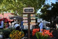 Midtown Farmers Market Celebrates Farm-to-Fork Month, Hispanic Heritage Month & More in September  