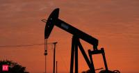 Argentina to investigate oil projects around Falklands