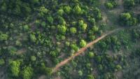 Places to explore in Zambia