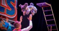 Puppy Pals Live brings high-flying canine fun to the Egyptian Theatre Sept. 20