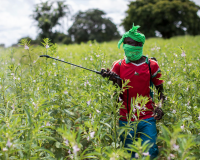 Almost Half Of World’s Farmers Are Poisoned By Pesticides Every Year