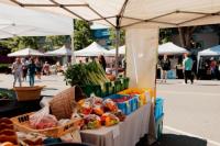 Campbell River Farmers Market celebrates 25 years with community dinner