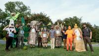Move over Bradford pear, the Tuliptree is Baltimore’s new official city tree