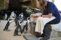 South Africa to host historic WAZA Annual Conference in 2027