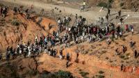 Migration as Hybrid Coercion