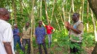 “Restore Forests and Generate Income”: Interview With FAO Togo’s Dr. Oyétoundé Djiwa