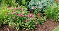 As summer winds down, it's time for Southern Utahns to prepare the landscape for the change of seasons