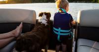 Illinois residents reminded of state regulations, safety guidelines while out on the water Labor Day weekend