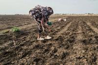 South Sudan declares drought emergency as deadly attack raises tensions