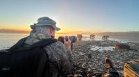 Bear cub says hello to Appleton wildlife photographer in Alaska