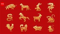 Daily Chinese Horoscope: Yang Water Horse brings fast emotions; guides each zodiac