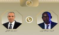 Egyptian, Malian FMs Discuss Bilateral Co-op, Sahel Security